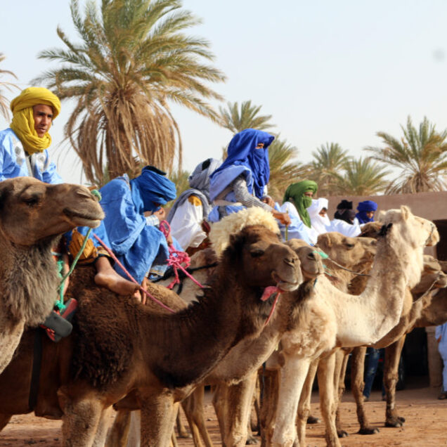 Mehamid Al Ghazlan the Travel Festival  April 29rd